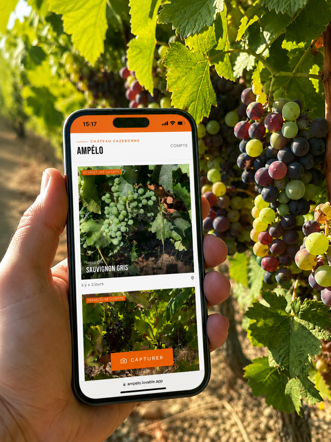 Application Ampélo pour relevés ampélographiques au Château Cazebonne