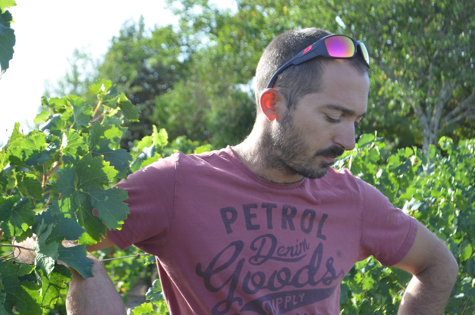 Florian, directeur technique