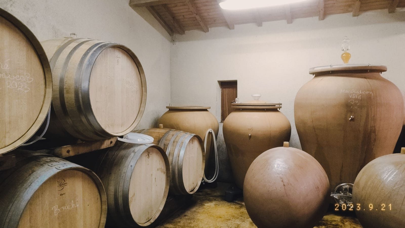 Chai des blancs (4)