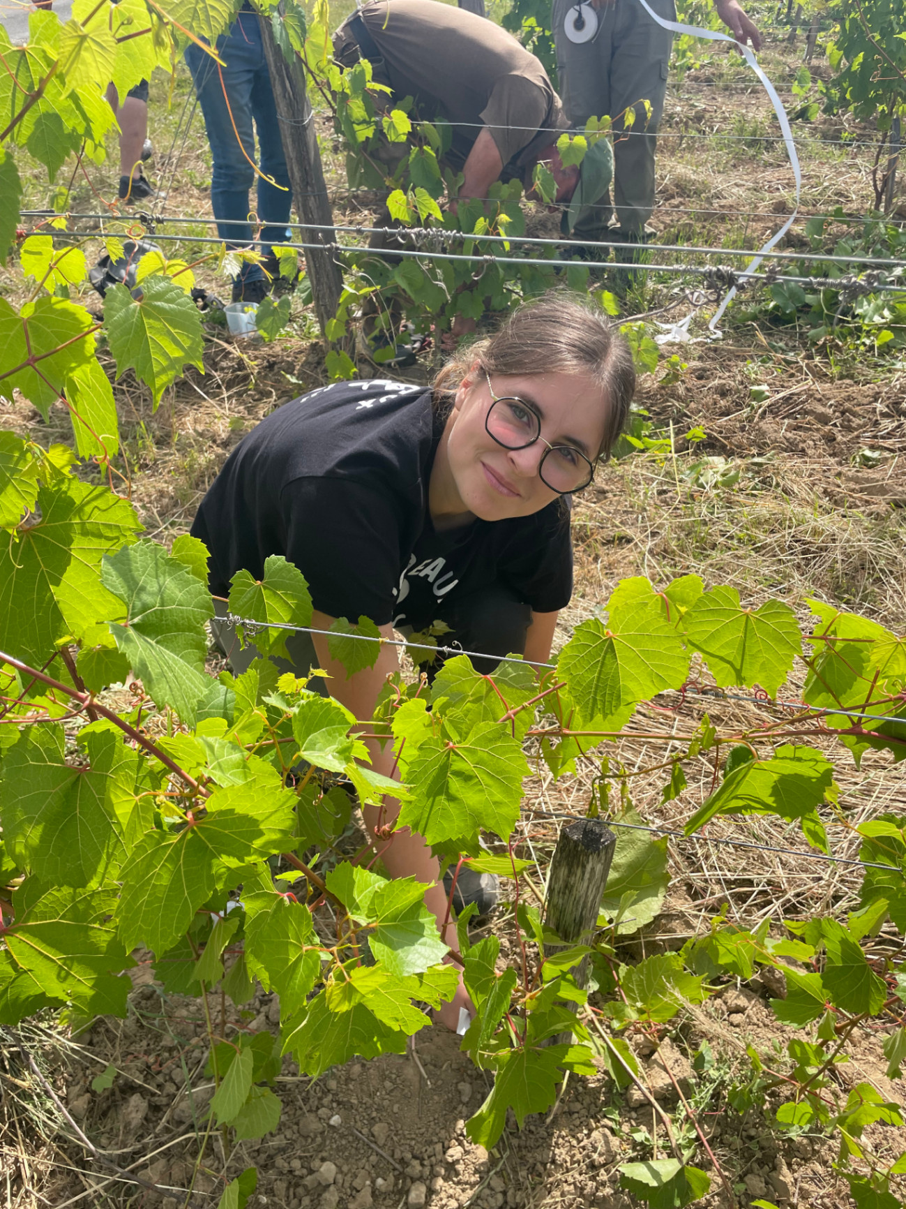 Lise — La pépite en herbe