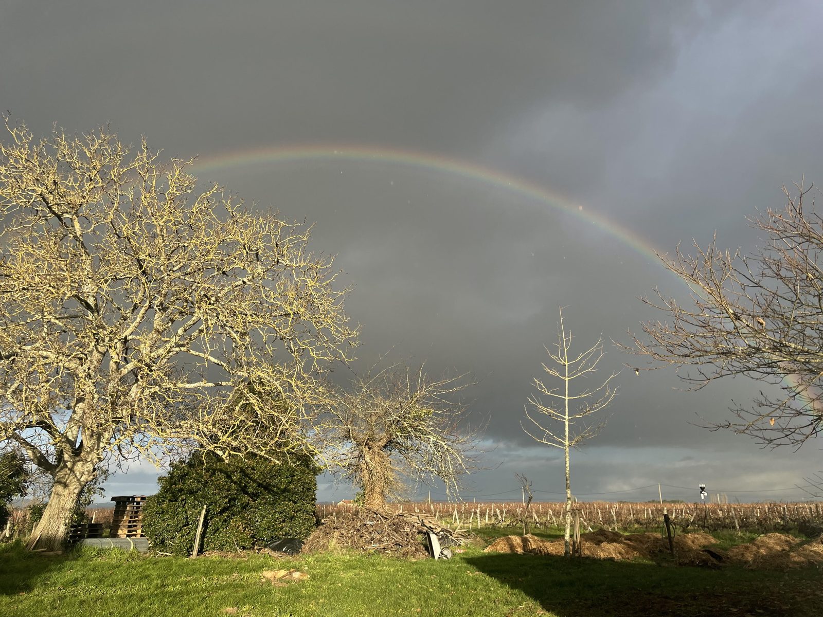 Château Cazebonne
