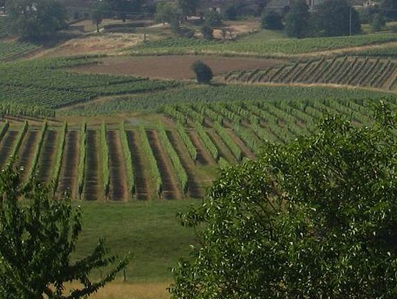 Château Trejaut — photo principale