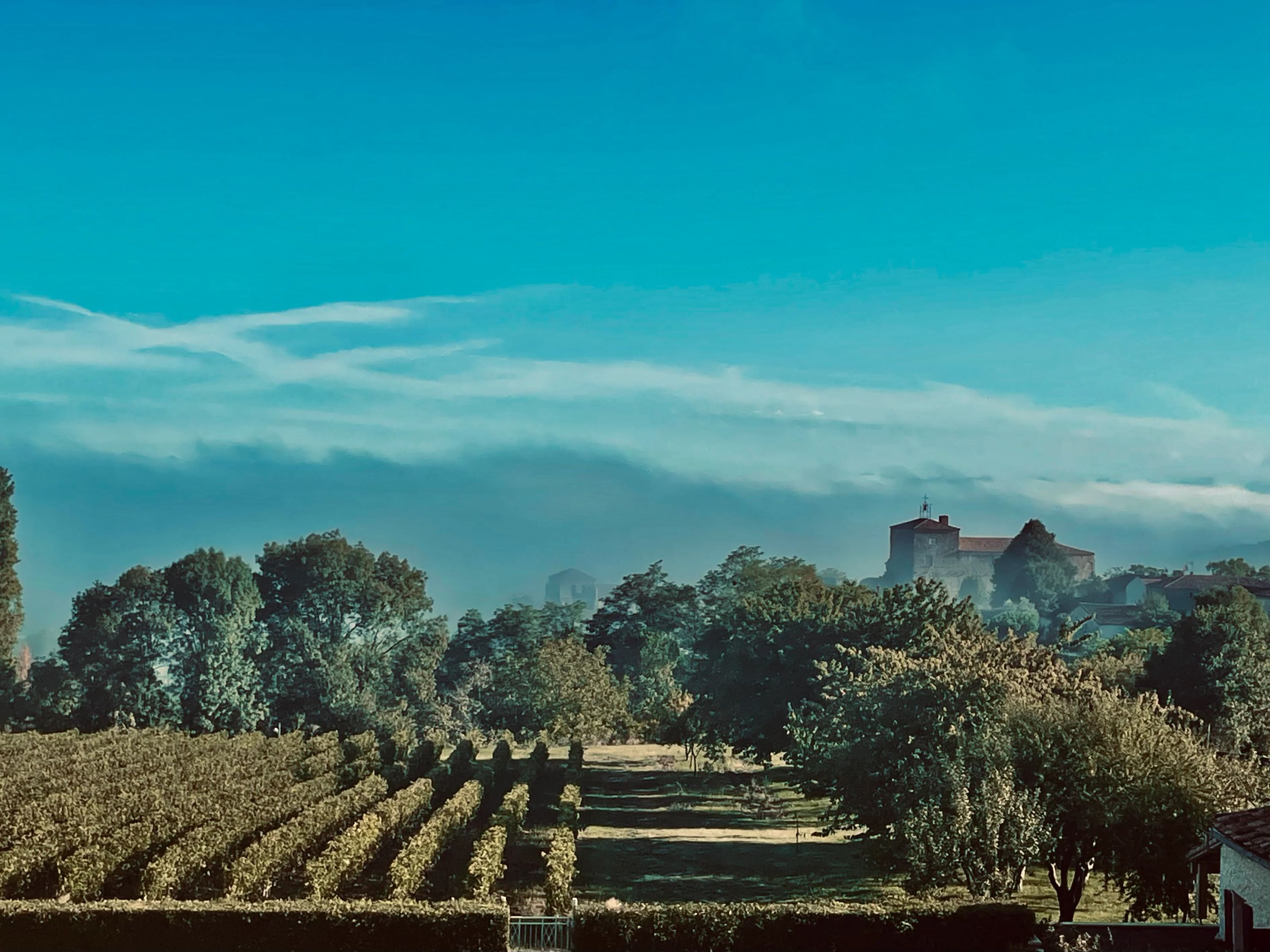 Château Vieux Pujols - Bordeaux Supérieur