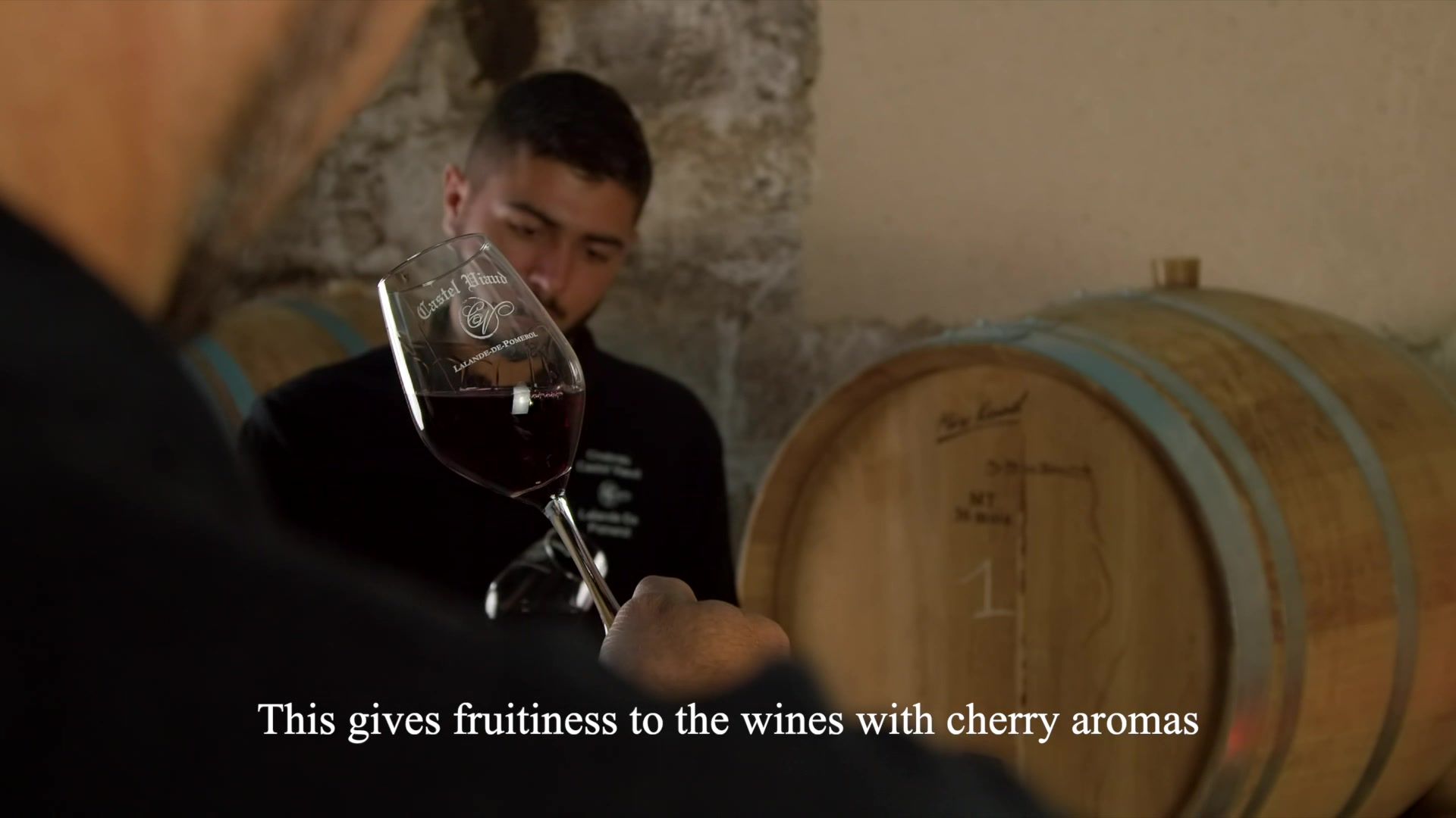 Château Castel Viaud - Lalande-de-Pomerol