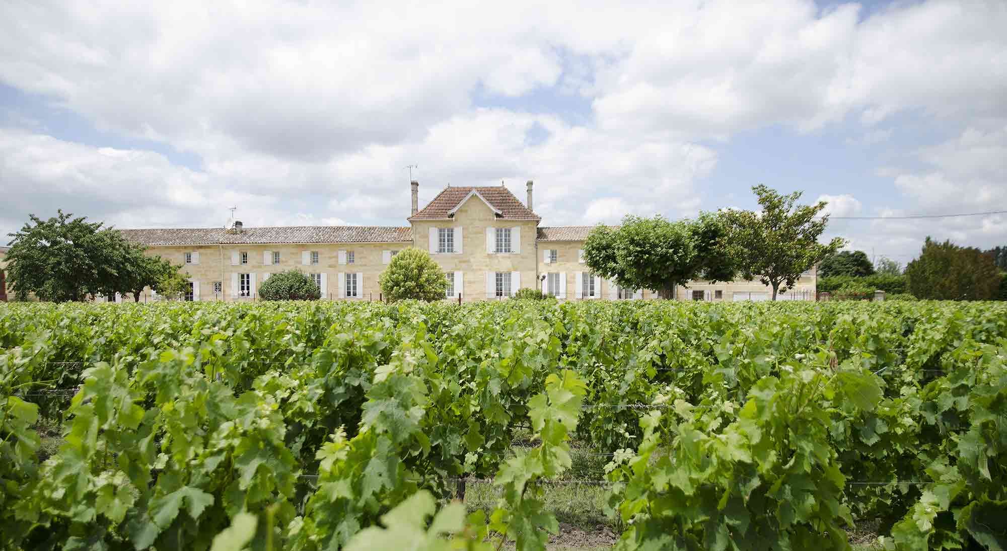 Château de la Cour (Vignonet) — photo 1