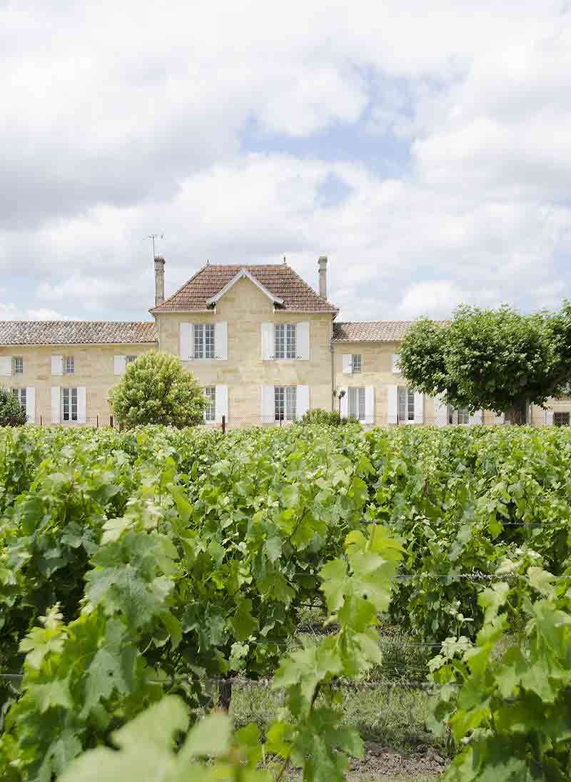 Château de la Cour (Vignonet) - Saint-Émilion