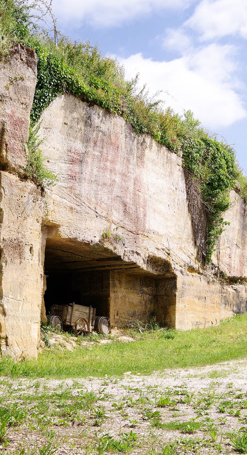Château de Roques
