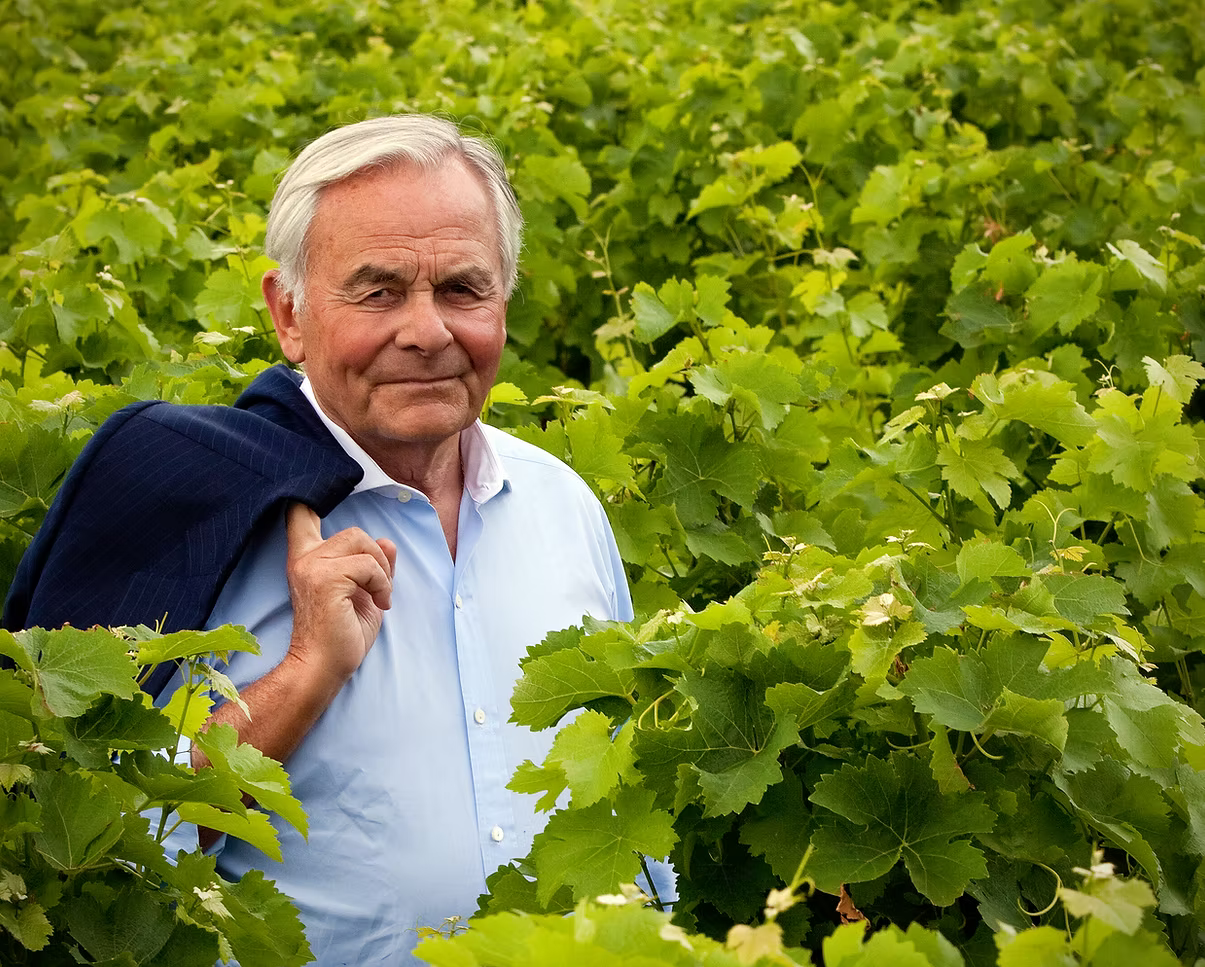 Bernard-Magrez-vignes.jpg