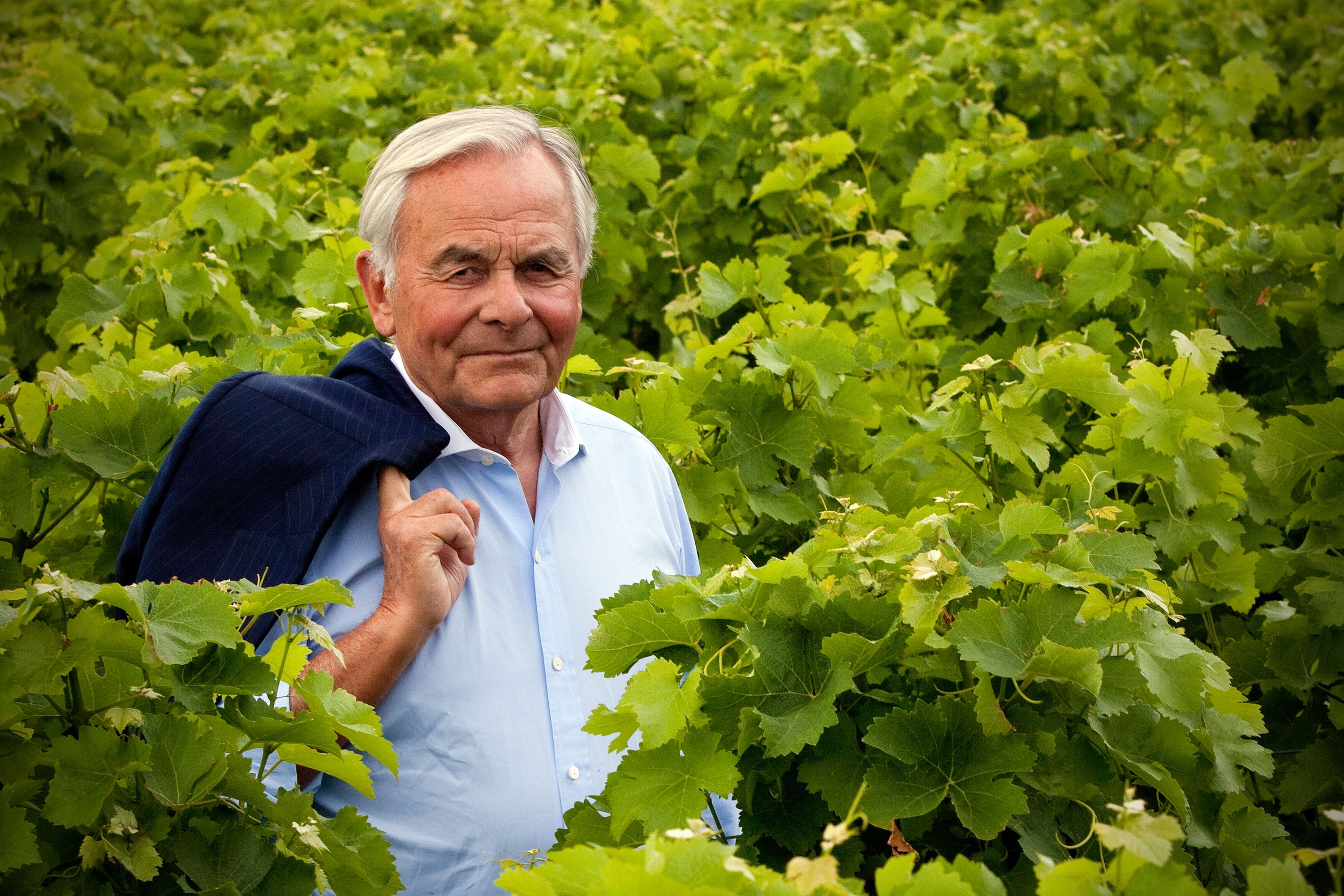 Château la Tour Carnet - Haut-Médoc