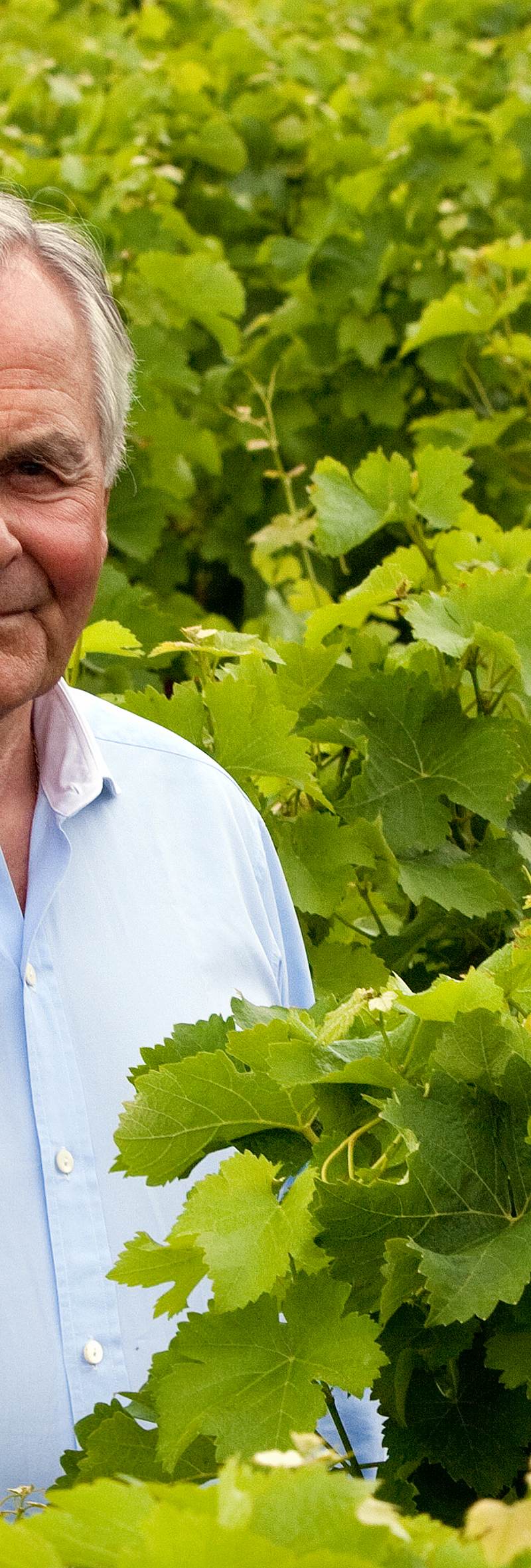 Bernard-Magrez-vignes.jpg