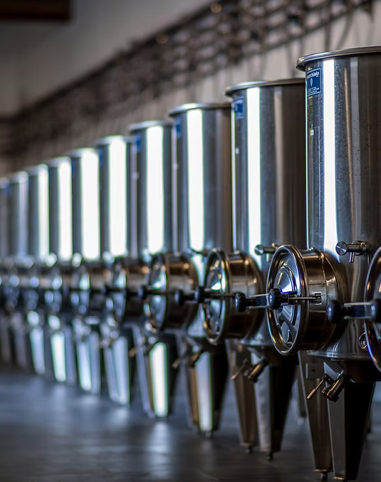 Cuvier de vinification des cépages à l’étude - 2.jpg