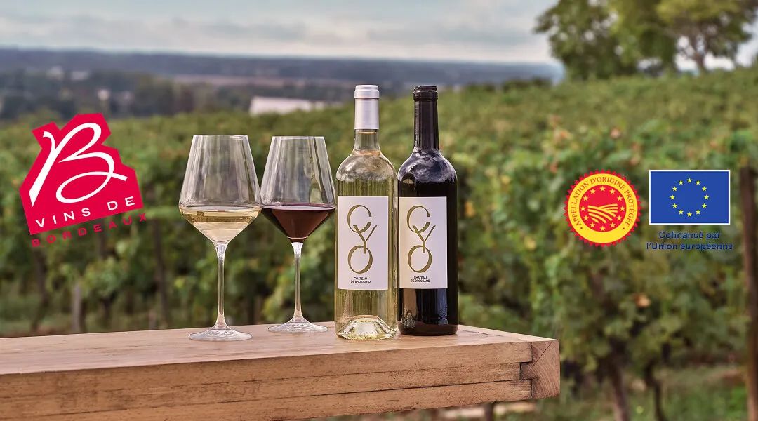 Bordeaux : des terroirs réinventés