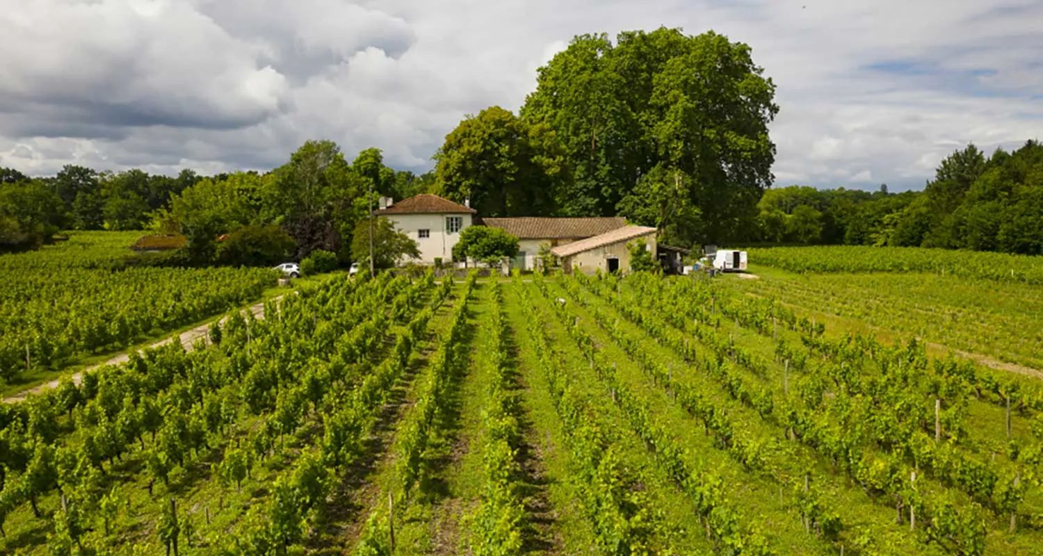 DOMAINE_DU_PETIT_BOURDIEU_DRONE_17_2