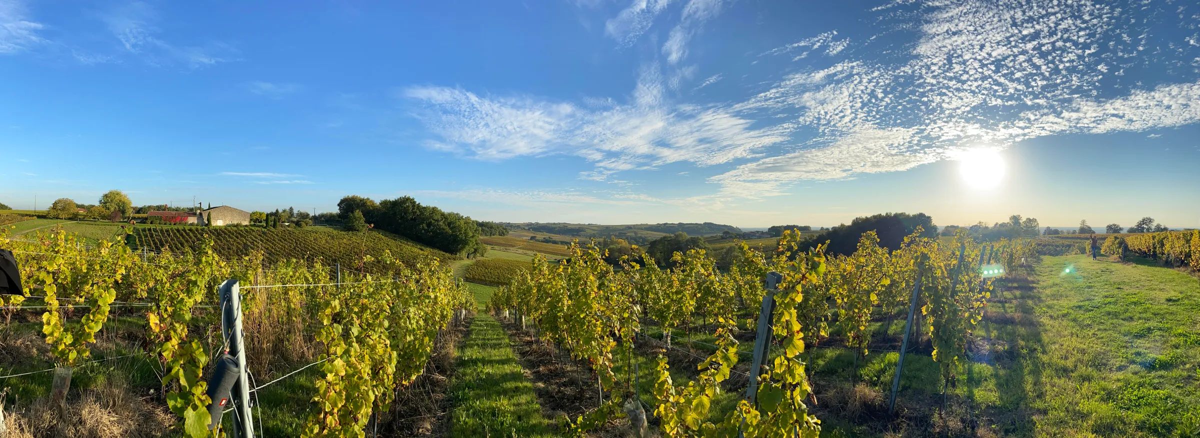 Domaine du Noble - Loupiac