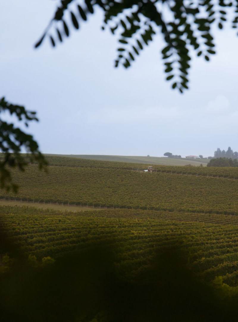 Château Perayne — photo principale