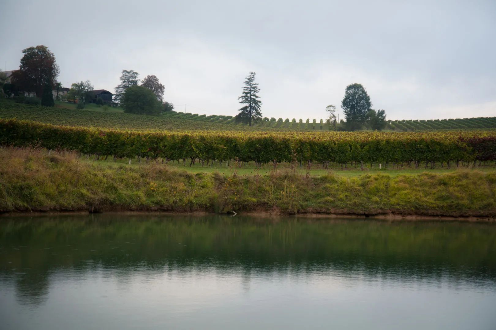 Château Perayne
