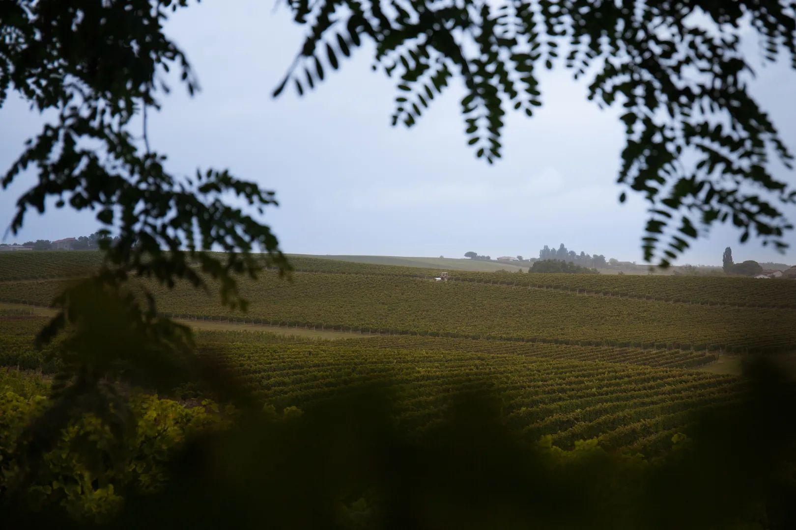 Château Perayne