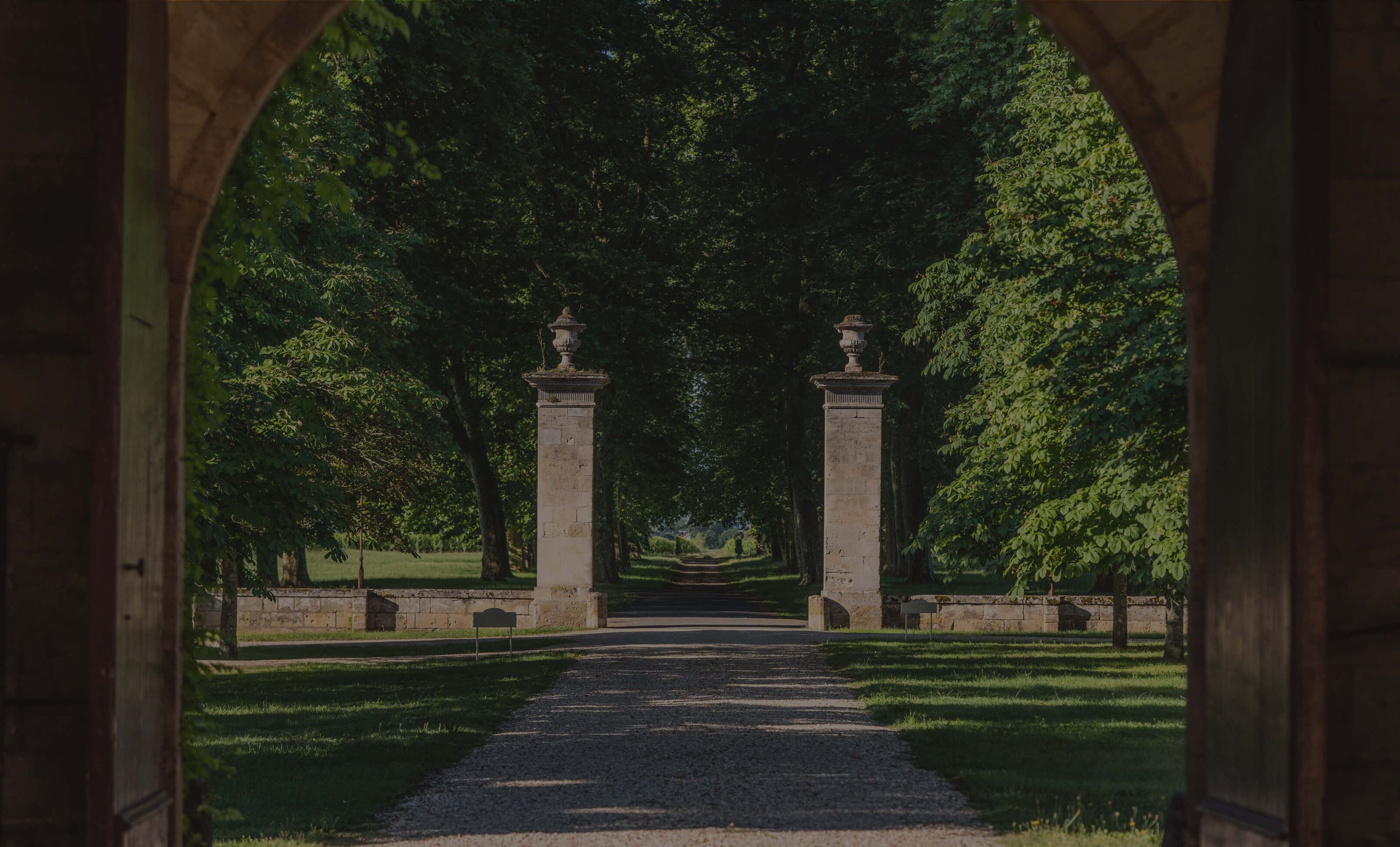 Château de Sales — photo 8