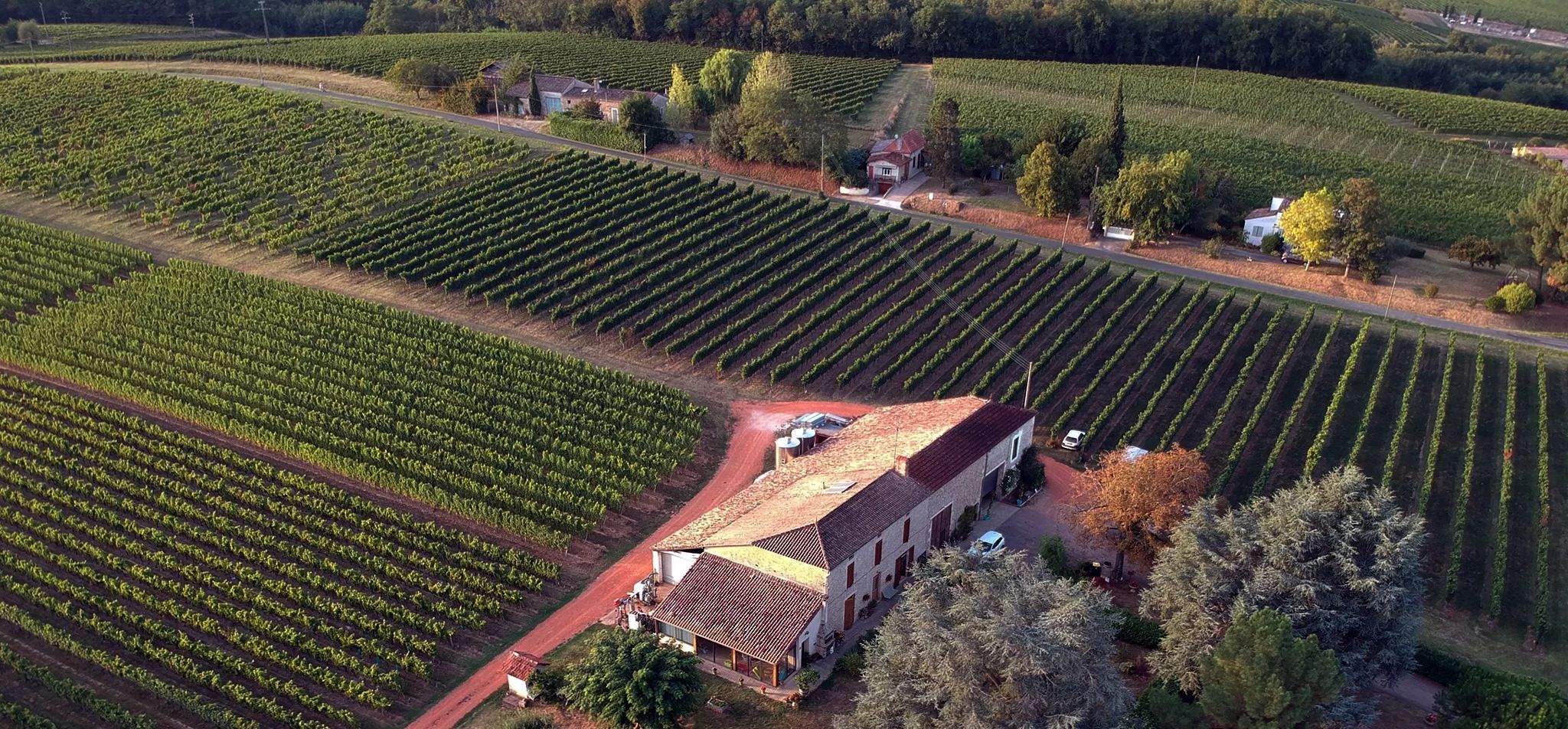 Château Haut-Pradot — photo 1
