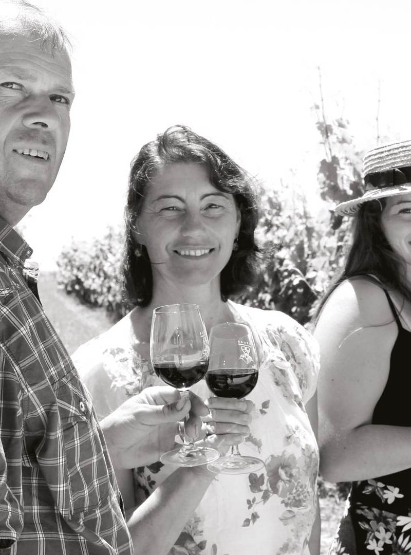 domaine-de-tout-ly-faut-veronique-camus-blaye