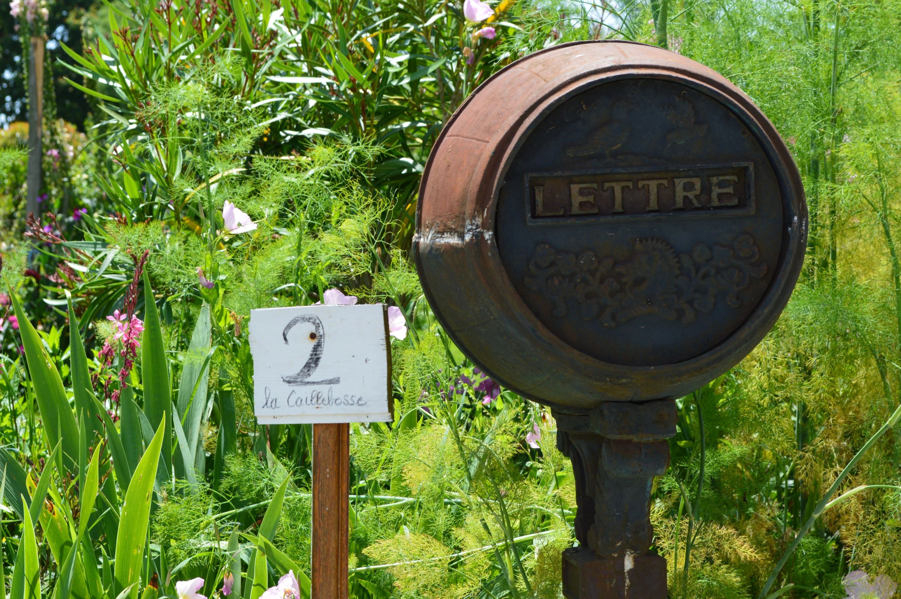 Château Tour Bel-Air - Fronsac
