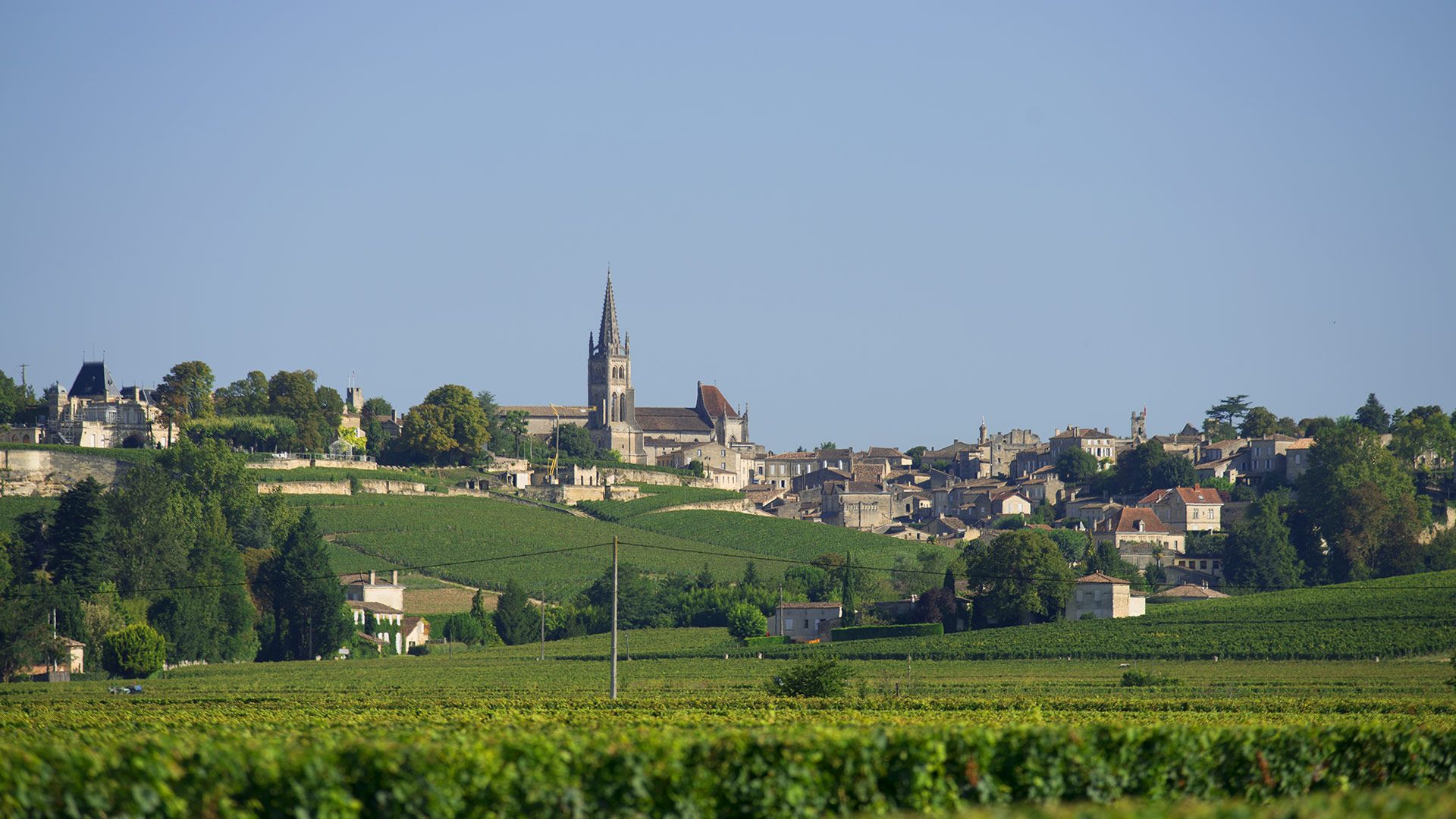Château Haut-Gravet - Saint-Émilion Grand Cru