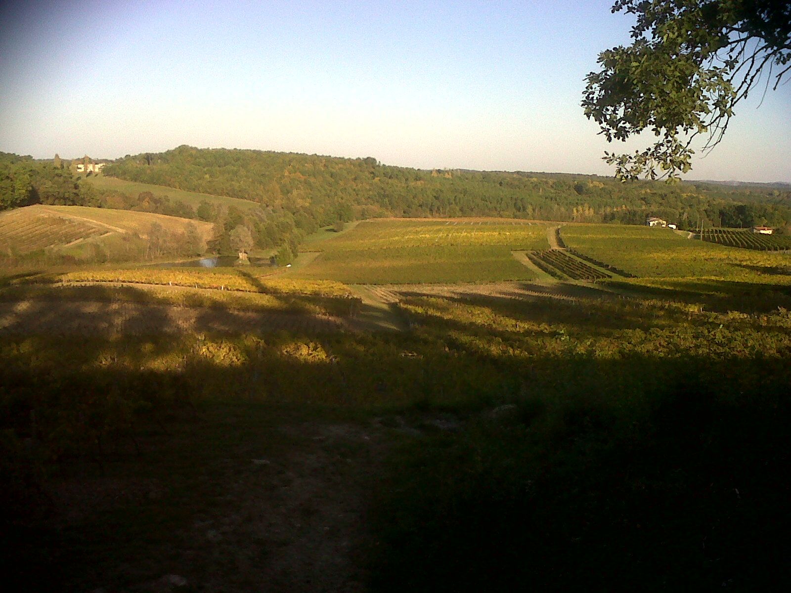 Château Lamartine — photo 4