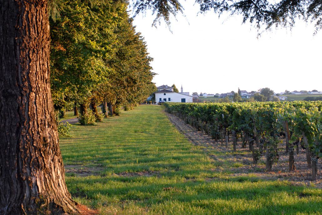 Château Belles-Graves — photo 1