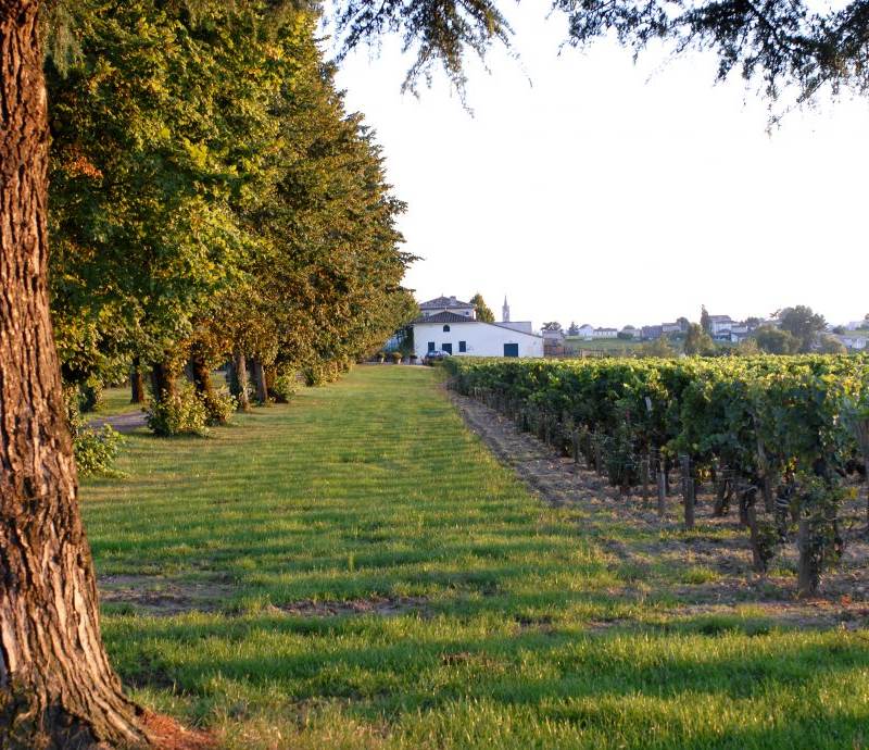 Château Belles-Graves - Lalande-de-Pomerol