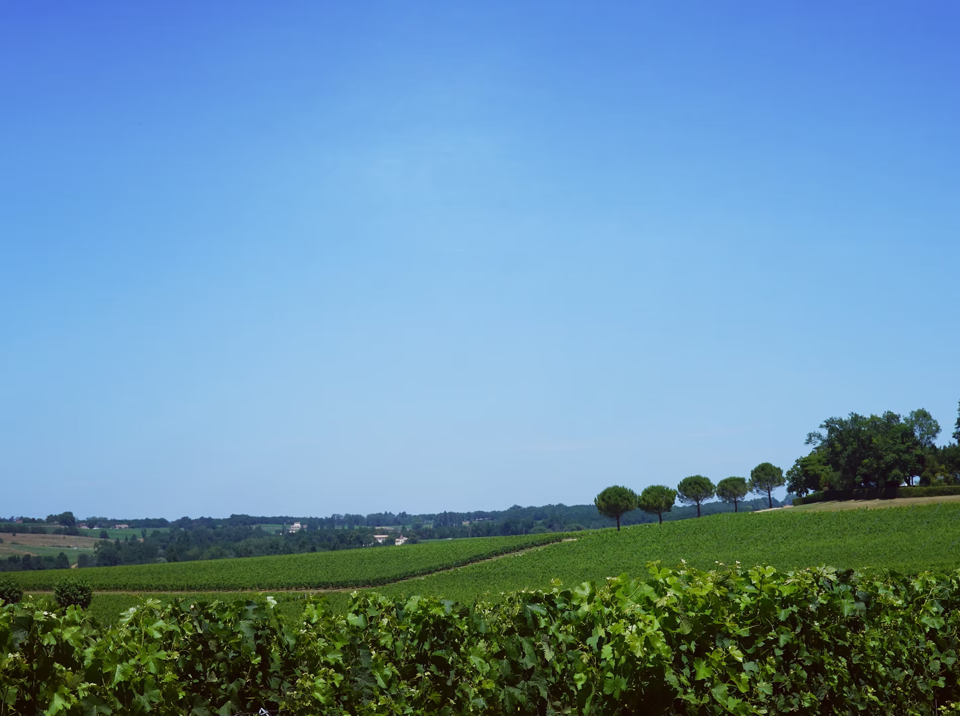 Château Marrin — photo 6