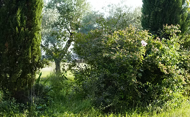 Jardin du domaine Château Marrin à Saint Emilion