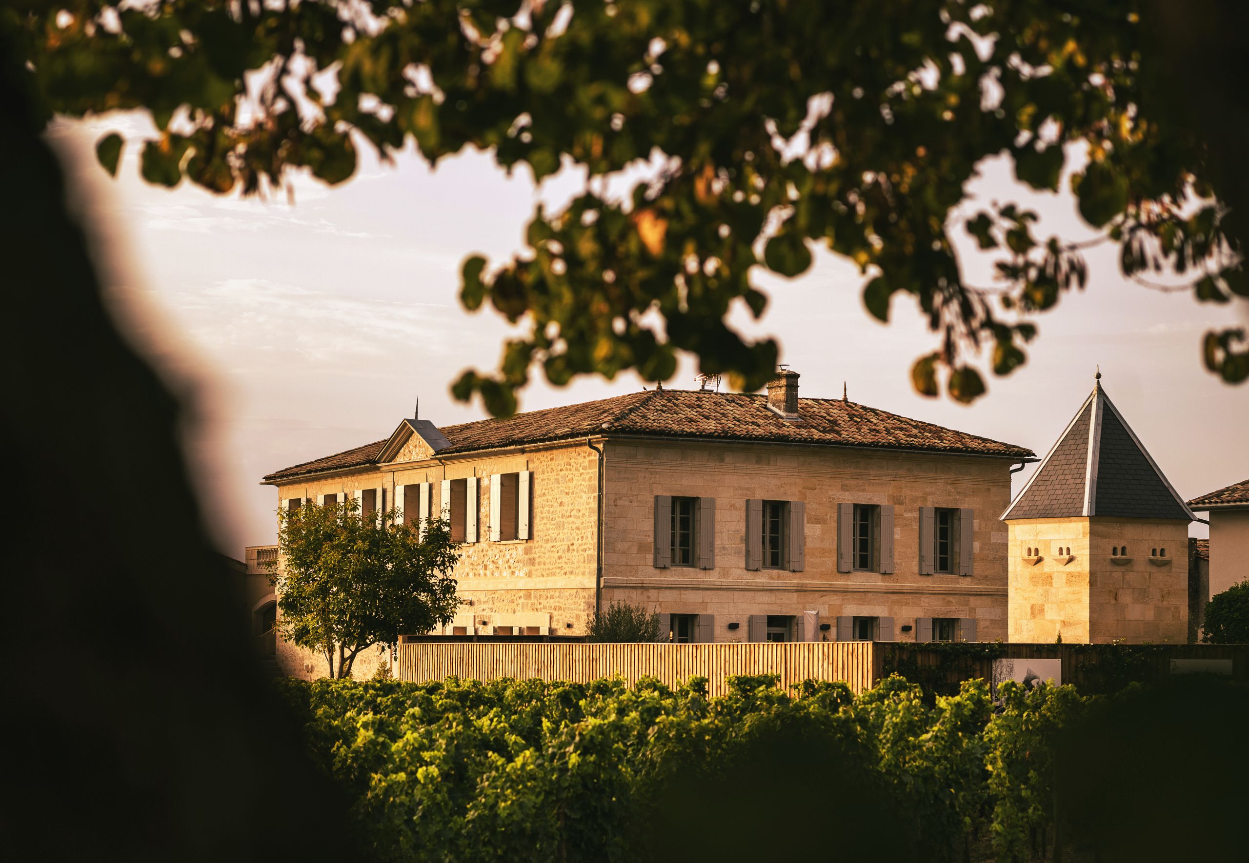 Château le Châtelet - Saint-Émilion Grand Cru
