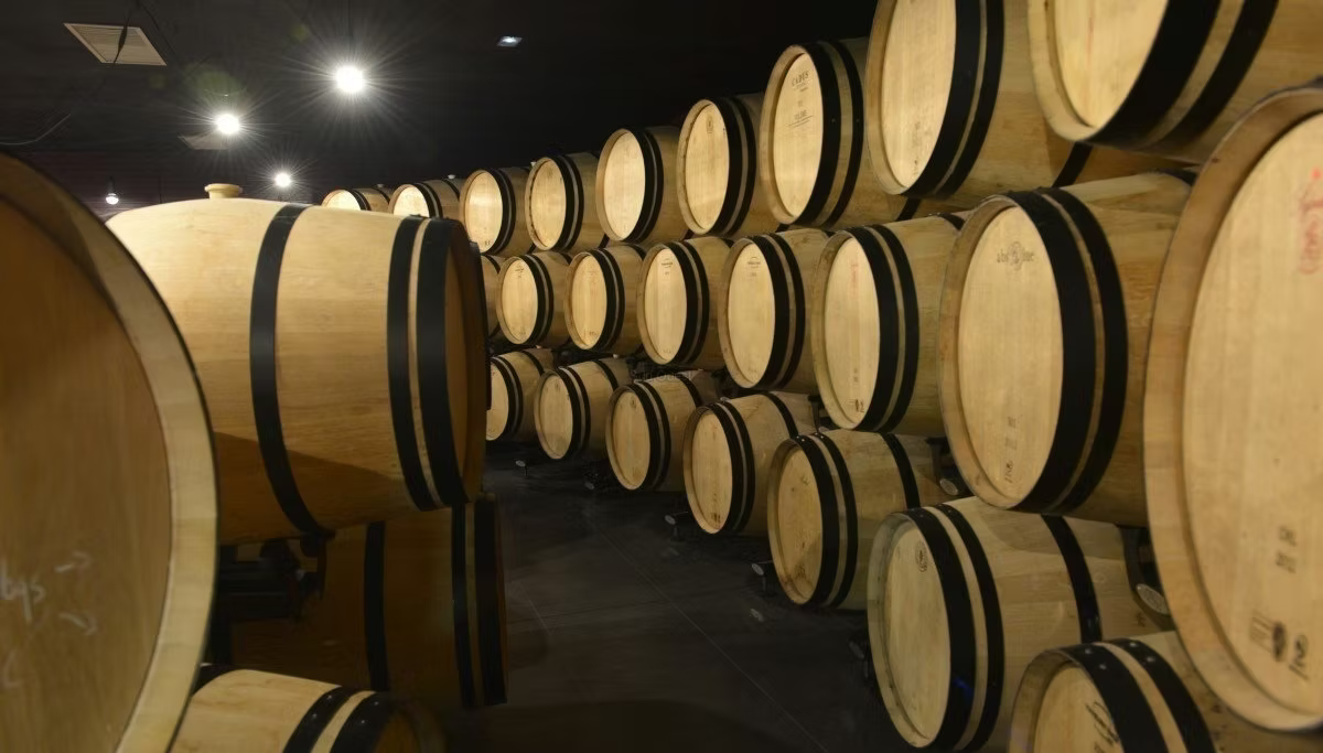 le-nouveau-chai-a-barriques-du-chateau-d