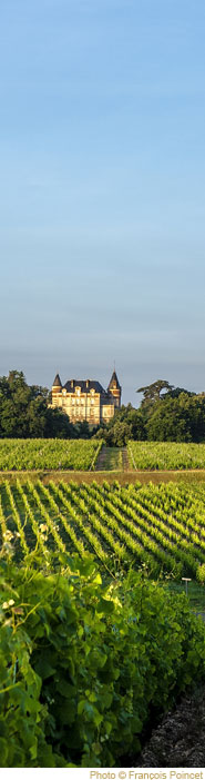 Ch&acirc;teau de Rayne Vigneau - 1er Grand Cru Class&eacute; de Sauternes - Achat / Vente Sauternes - Visite,…