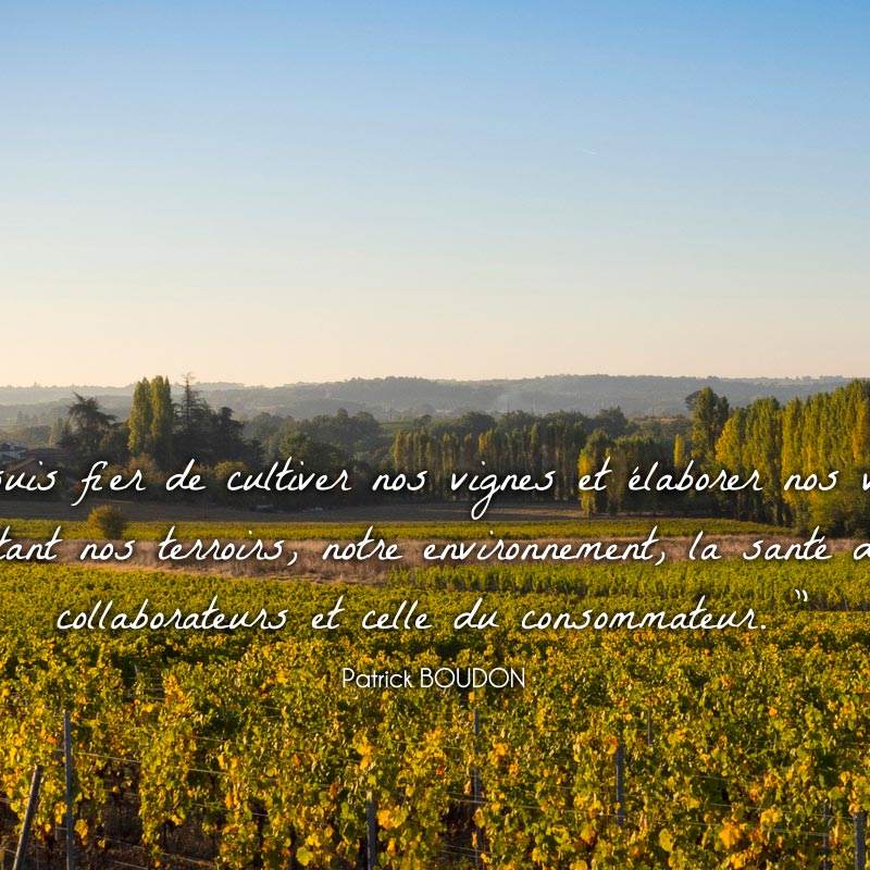 Vignoble-boudon-agriculture-biologique