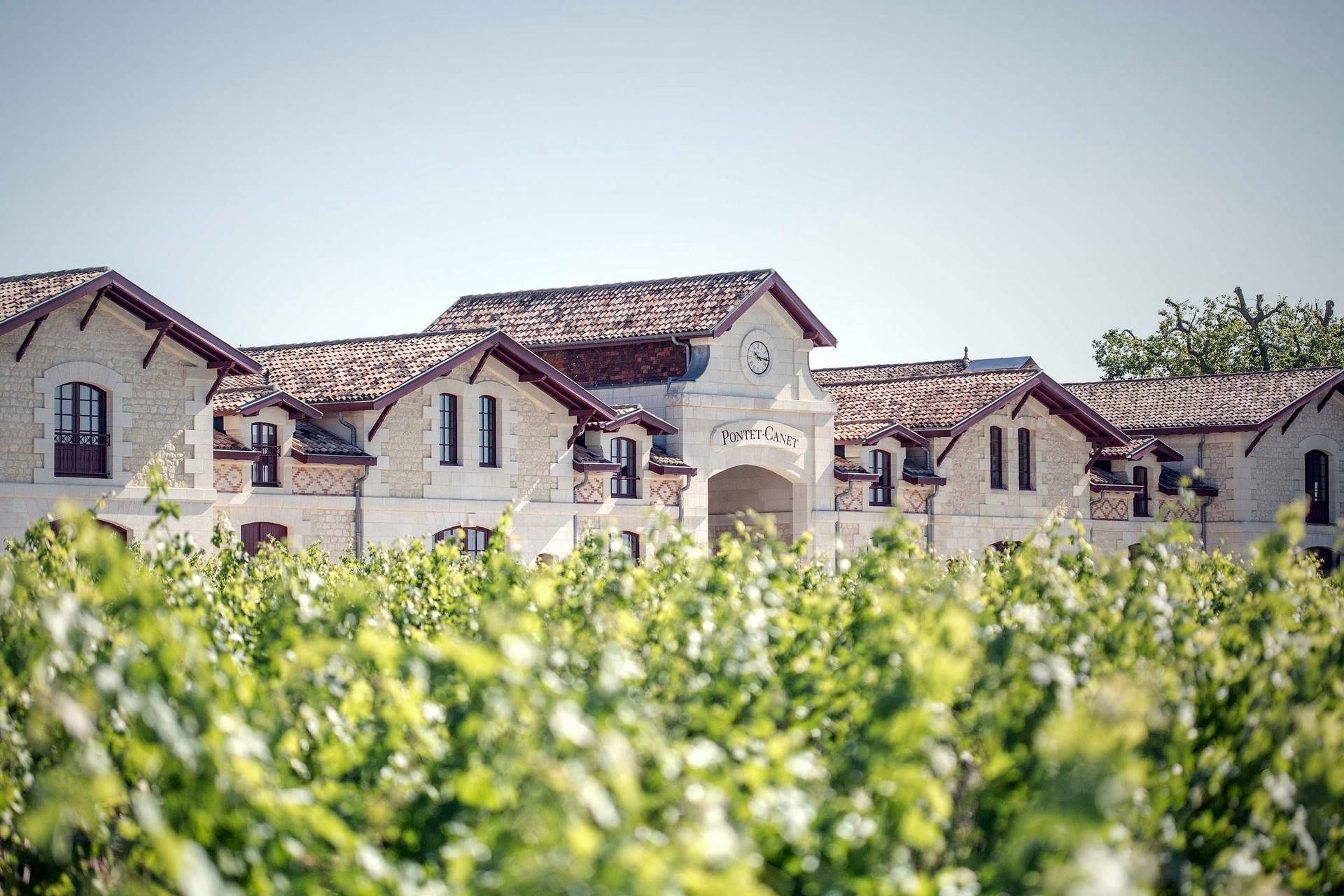 Château Pontet-Canet - Pauillac