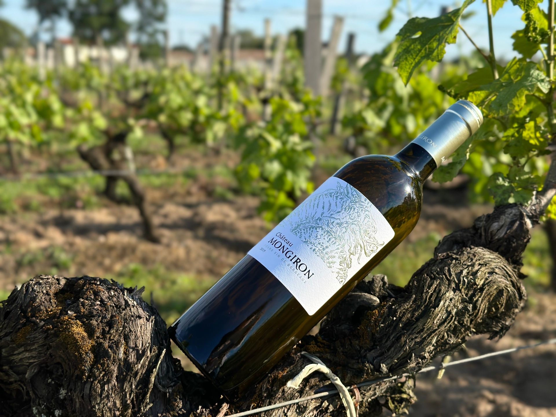 Château Mongiron - Bordeaux Supérieur