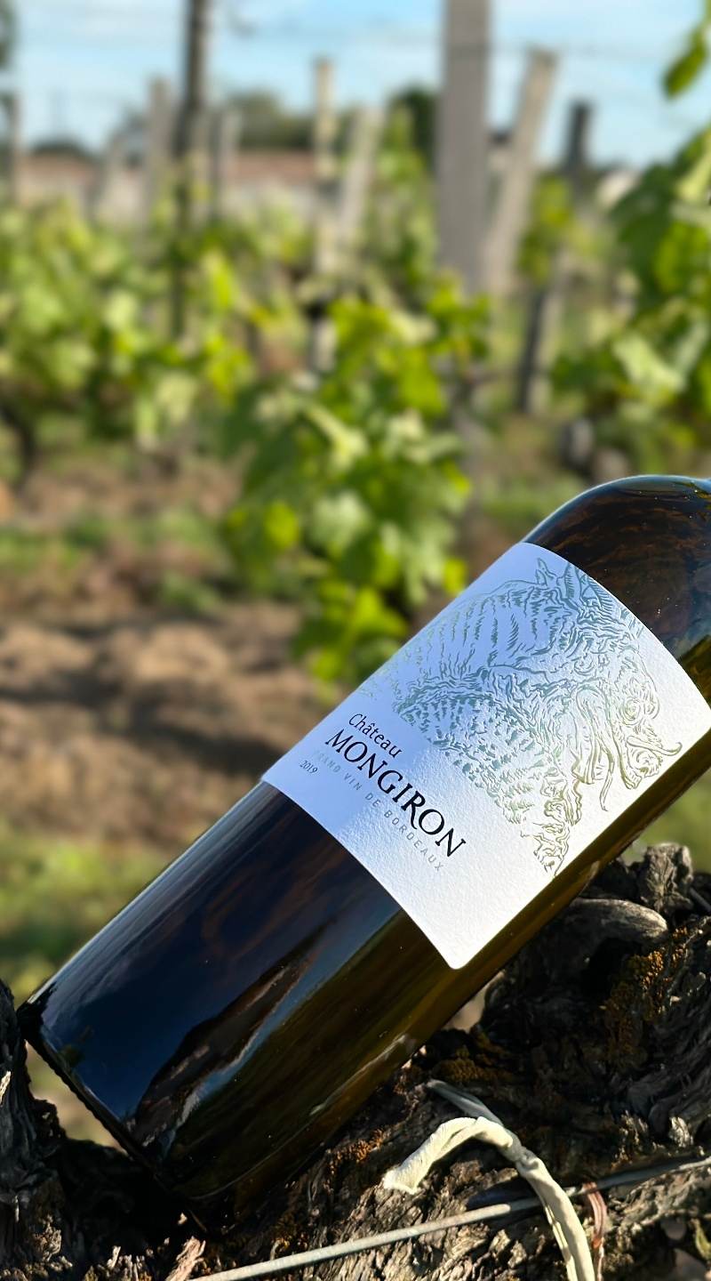 Château Mongiron 2