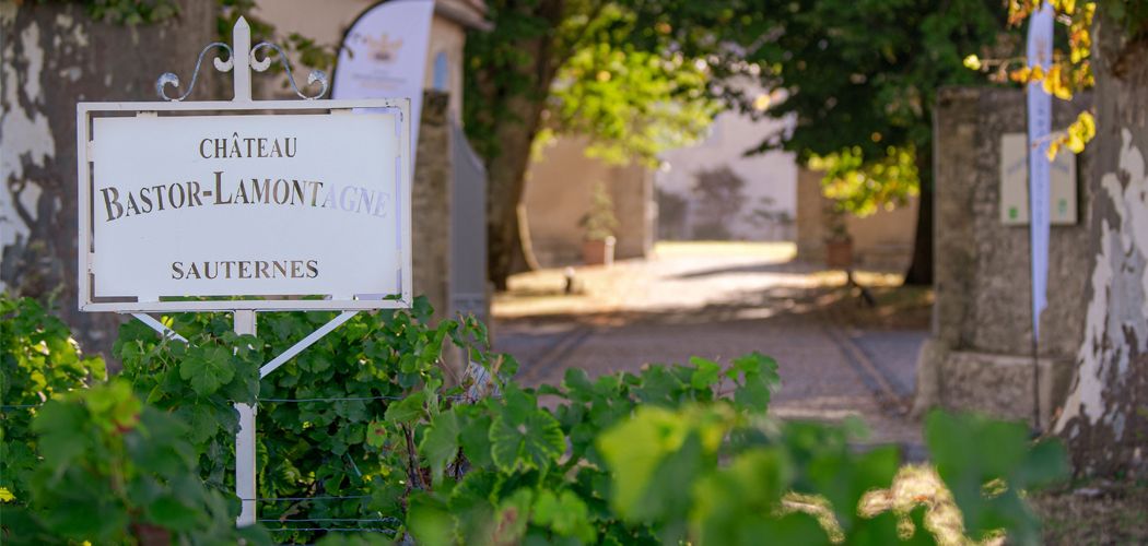 Château Bastor-Lamontagne - Sauternes