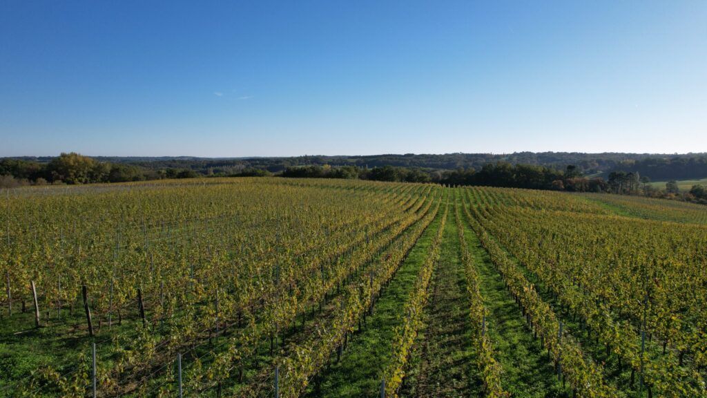 Château Lafite Monteil — photo 2