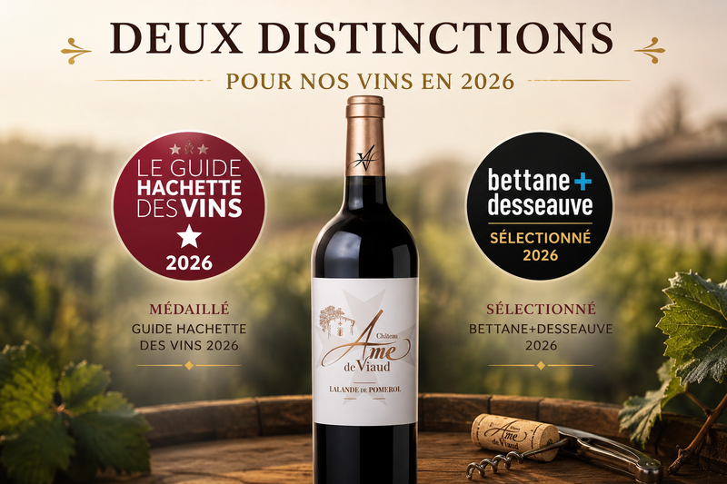 Château Ame de Viaud - Lalande-de-Pomerol