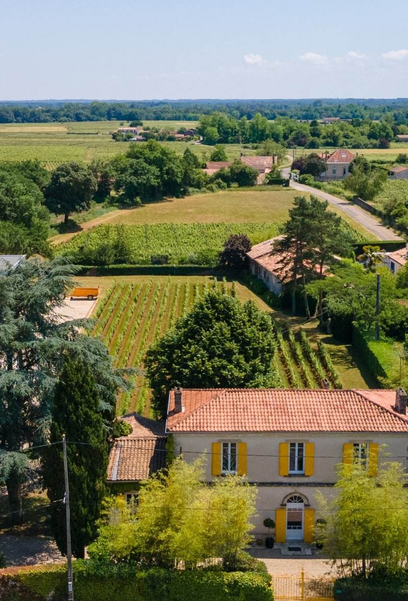 domaine lacoste