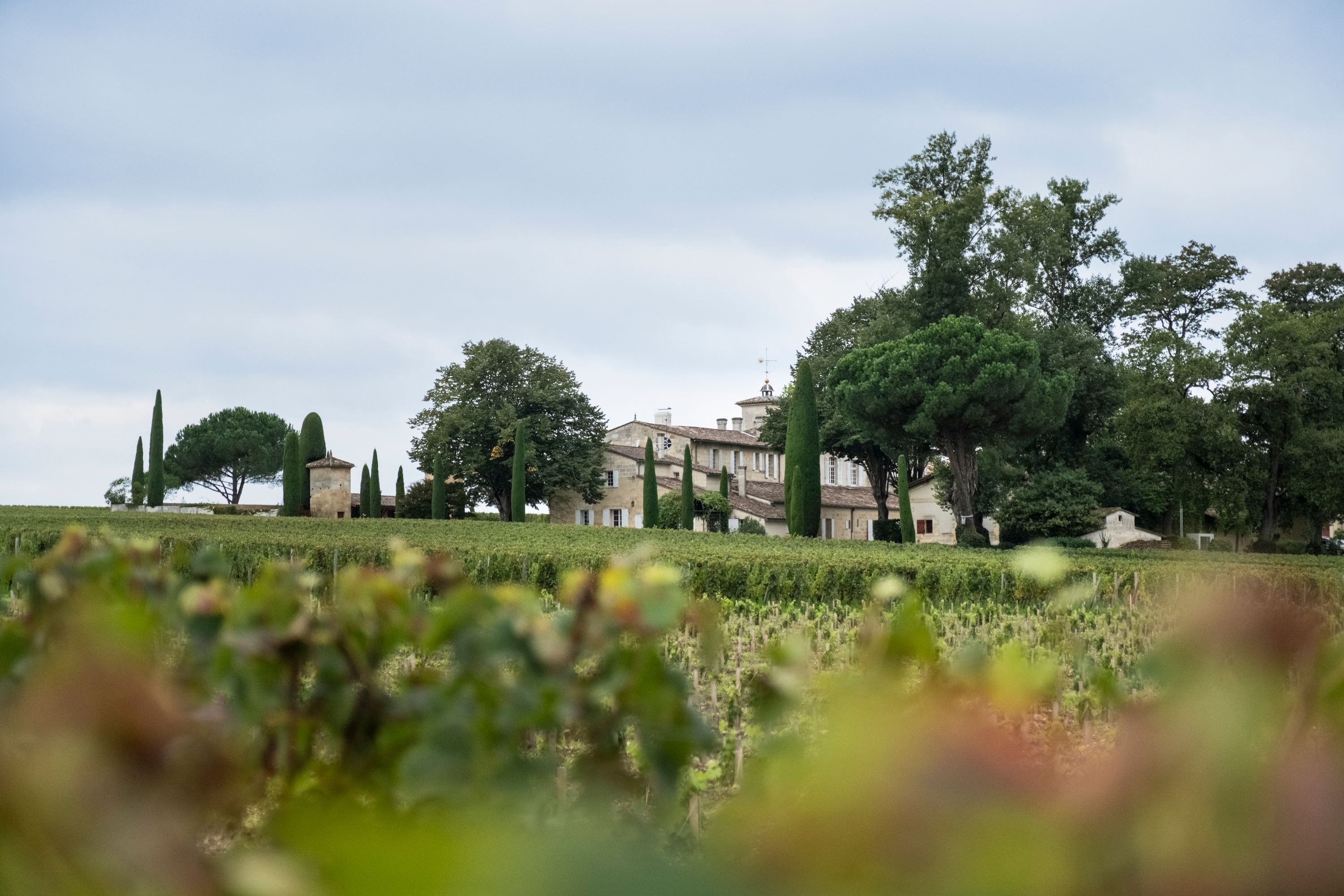 Château Gazin - Pomerol