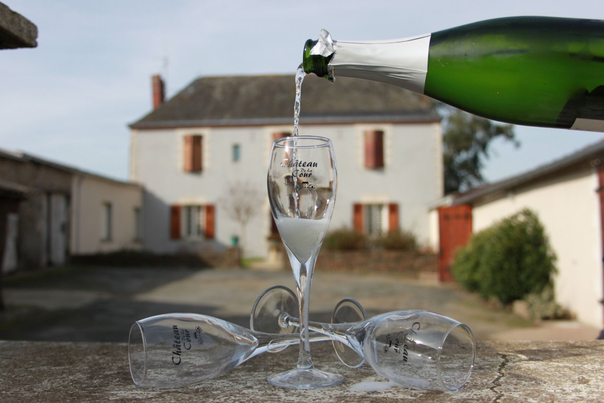 Château de la Cour — photo 4