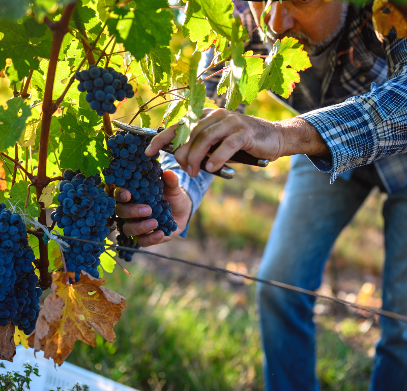 Domaine de la Garenne — photo principale