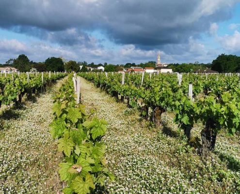 Château le Coteau - Margaux