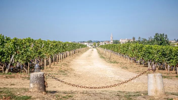 Château Troplong Mondot — photo 12