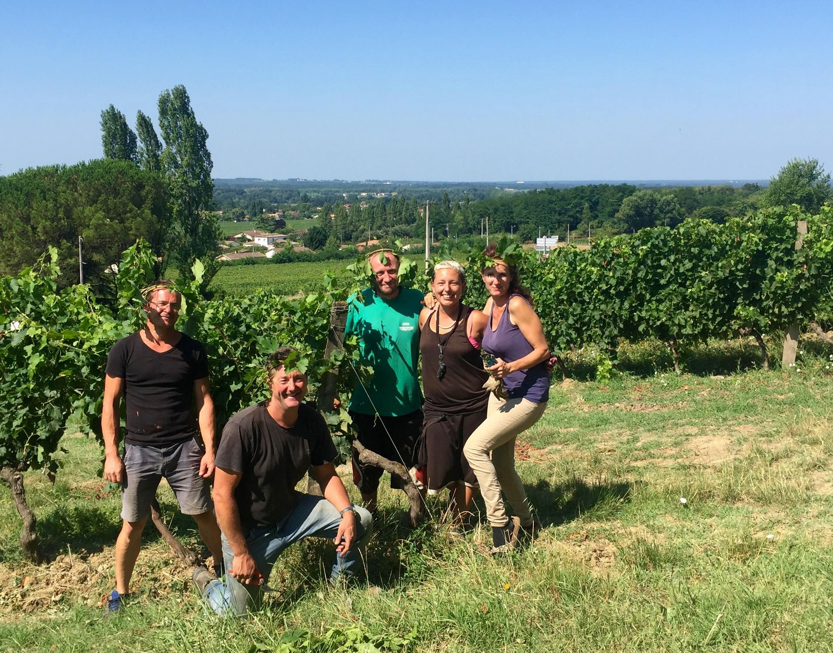 Vignobles Ricard — photo 2