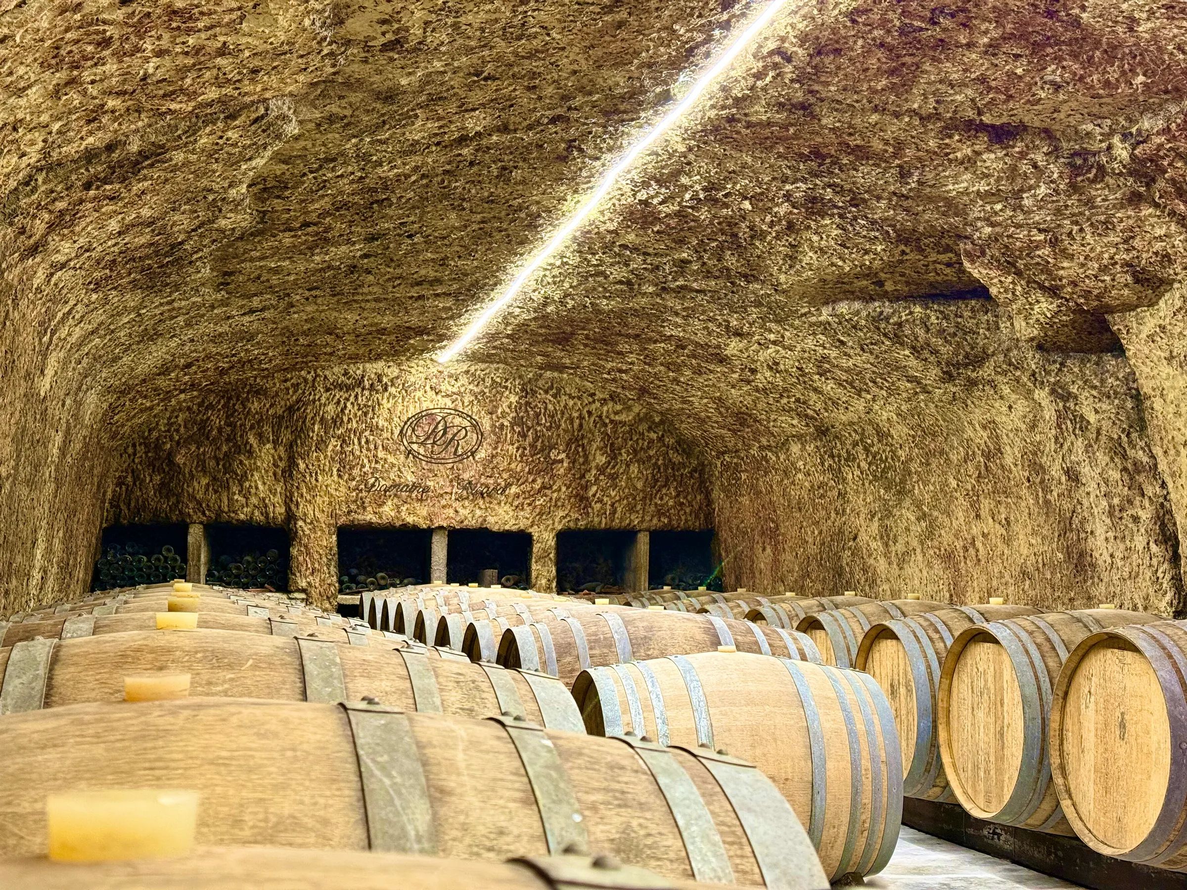 Cave à futs de chênes sauvignon