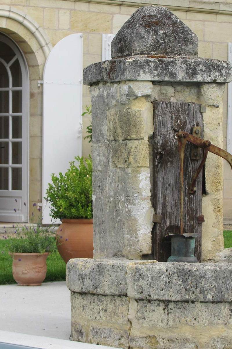 Vignoble